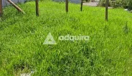 Terreno à venda 528M², Jardim Carvalho, Ponta Grossa - PR
