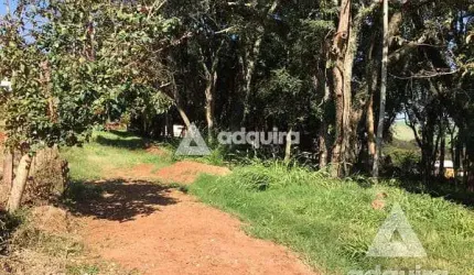 Terreno à venda 1716M², Centro, Carambeí - PR