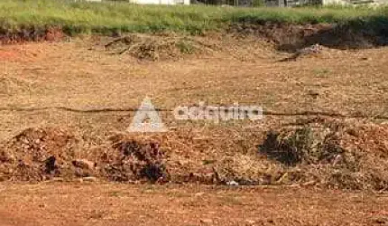 Terreno à venda 420M², Estrela, Ponta Grossa - PR