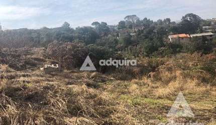 Terreno à venda 348.34M², Chapada, Ponta Grossa - PR