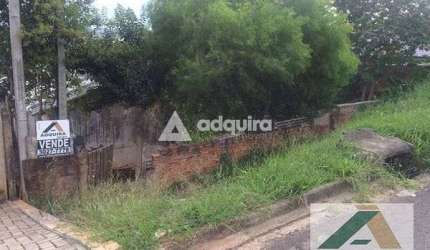 Terreno à venda 1 Quarto, 518M², Nova Rússia, Ponta Grossa - PR