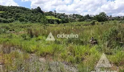 Terreno à venda 515.27M², Estrela, Ponta Grossa - PR