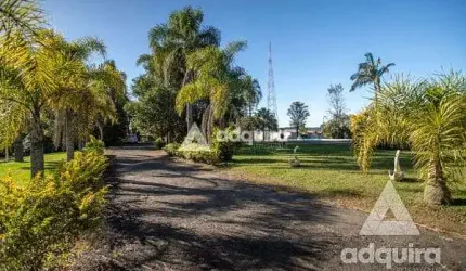 Chácara para Locação 24000M², Chapada, Ponta Grossa - PR