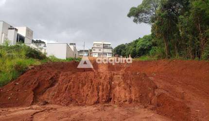 Terreno à venda, Já feito Limpeza e Terraplanagem, com 462m² de área total, Estrela, Ponta Grossa -