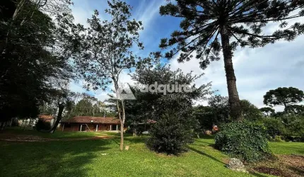 Chácara à venda e locação - Com potencial para comercial (EVENTOS), 5.000m², Piscina, Churrasqueira