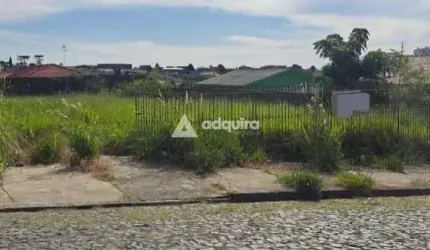 Terreno à venda, Orfãs, Ponta Grossa, PR