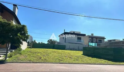 Terrenos  à venda, Jardim Carvalho, Ponta Grossa, PR