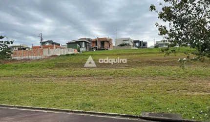 Terreno à venda, Jardim Carvalho, Ponta Grossa, PR