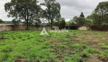 Terreno à venda, Cará-cará, Ponta Grossa, PR