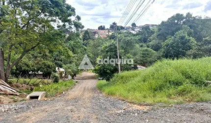 Terreno de esquina à venda próximo à Rua Londrina, Nova Rússia, Ponta Grossa, PR