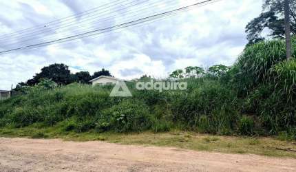 Terreno próximo à Rua Londrina à venda, Nova Rússia, Ponta Grossa, PR