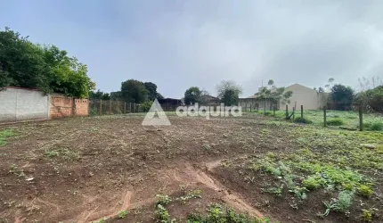 Terreno à venda, Colônia Dona Luíza, Ponta Grossa, PR