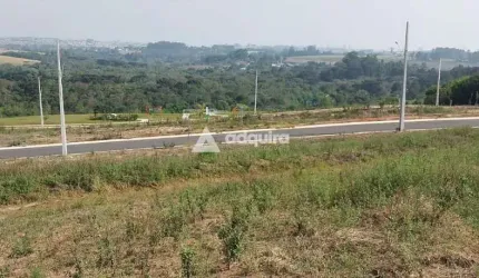 Terreno à venda, Jardim Alpha, Jardim Carvalho, Ponta Grossa, PR