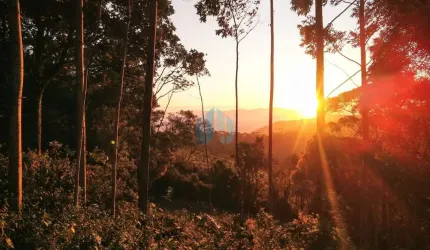 Amplo Terreno Localizado no Bairro Encantada, em Garopaba!