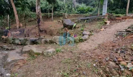Terreno com Vista p/ Mar e Próximo à Cachoeira, Bairro Siriú, em Garopaba!