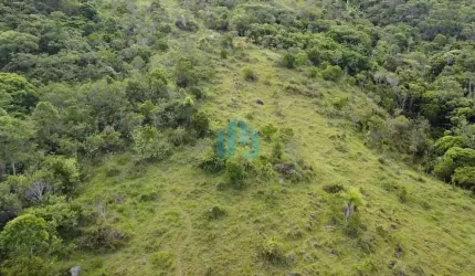 Terreno de 9 Hectares Localizado no Bairro Macacu, em Garopaba!
