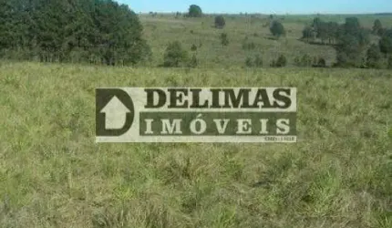 1416 - TERRENO RURAL COM 732,194 M² / 30,25 ALQUEIRES EM SÃO LUIZ DO PURUNÃ - BALSA NOVA