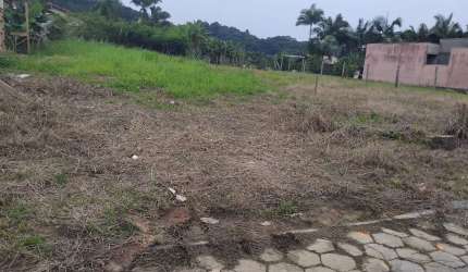 Vendo Terreno plano com 260m2 bairro Itoupava Central
