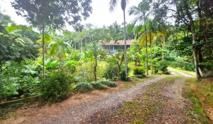 Chácara / sítio com 3 quartos à venda no Itoupava Norte, Blumenau , 190 m2 por R$ 780.000