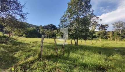 Sítio à Venda - Três Pontes, Monte Alegre do Sul - 72600m2