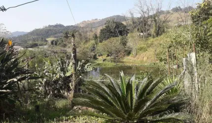 Sítio à Venda - Bairro Boa Vereda, Amparo - 367m2  - 5 Quartos