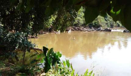 Chácara à Venda - Loteamento Residencial Entre Verdes (Sousas), Campinas - 5.227,8m2  - 3 Quartos