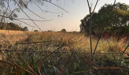 Terreno à Venda - Betel, Paulínia - 2.700m2