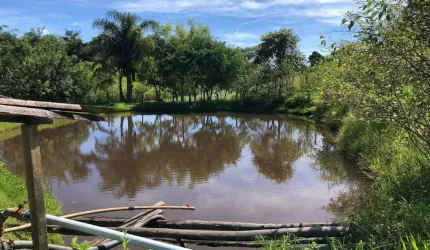 Sítio à Venda - Sertãozinho Amparo, Amparo - 170m2  - 3 Quartos