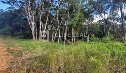 Lote / Terreno em Calemba  -  Santo Amaro da Imperatriz