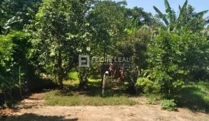 Casa em Forquilhas  -  São José