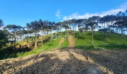 Terreno Área em Pinheiral  -  Rancho Queimado