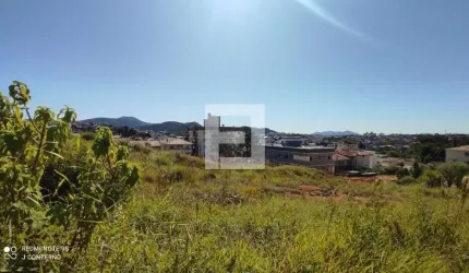 Terreno em Ipiranga  -  São José