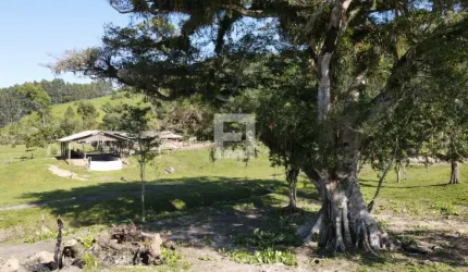 Fazenda em Laranjal  -  Paulo Lopes