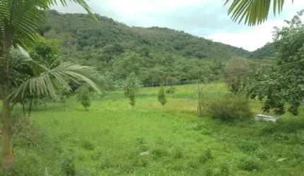 Sítios para venda em Eldorado no bairro Zona Rural