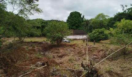 Fazendas para venda em Registro no bairro Serrote