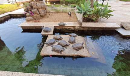 Imperdível!!! Apto com 92 m2 | 3 dorms. (1 suíte) | 2 vagas na Parada Inglesa!