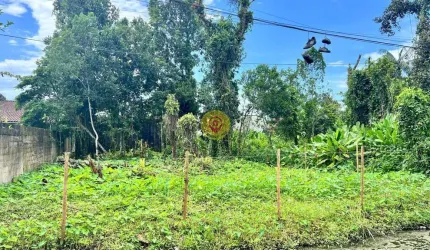 Terreno de 470 m² – Limpo, Cercado e a 550 Metros da Praia