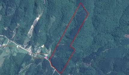 Terreno Rural à venda com área de 279.528m² com eucaliptos prontos em Ascurra/SC