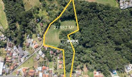Terreno à venda, 22987 m² por R$ 3.000.000 - Rondinha, Campo Largo/PR