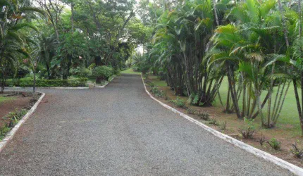 Área à venda, 7000 m² por R$ 3.500.000,00 - Chácara Bela Vista - Sumaré/SP