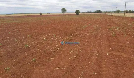 Área à venda, 210.000 m² com topografia totalmente plana - Fazenda Velha - Nova Odessa/SP