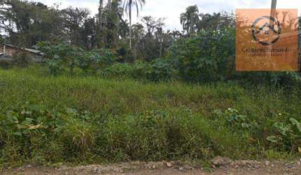 Terreno à venda, 360 m² por R$ 130.000,00 - Sandra Regina - São Francisco do Sul/SC