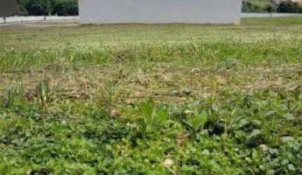 Terreno à venda, 480 m² por R$ 580.000,00 - Condomínio Phillipson Park - Americana/SP