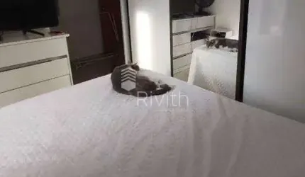 Cobertura Sem Condomínio em Paraíso  -  Santo André