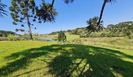 Terreno à venda, 21250 m² por R$ 1.100.000,00 - Borda do Campo - Piraquara/PR