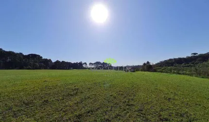 Terreno à venda, 84700 m² por R$ 1.700.000,00 - Colônia Santa Maria - Piraquara/PR