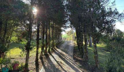Chácara com 4 dormitórios à venda, 32000 m² por R$ 2.600.000,00 - Jardim Santa Nely - Campo Largo/PR