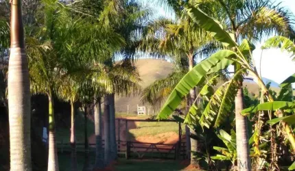 Fazenda 105 alqueires - Silveiras/SP