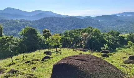 Terreno à venda, 400.700 m² - Estrada Paraty-cunha - Paraty/RJ