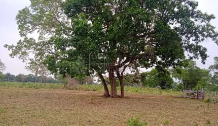 Fazenda à venda, 114.86 hectares, ZONA RURAL, NIOAQUE - MS